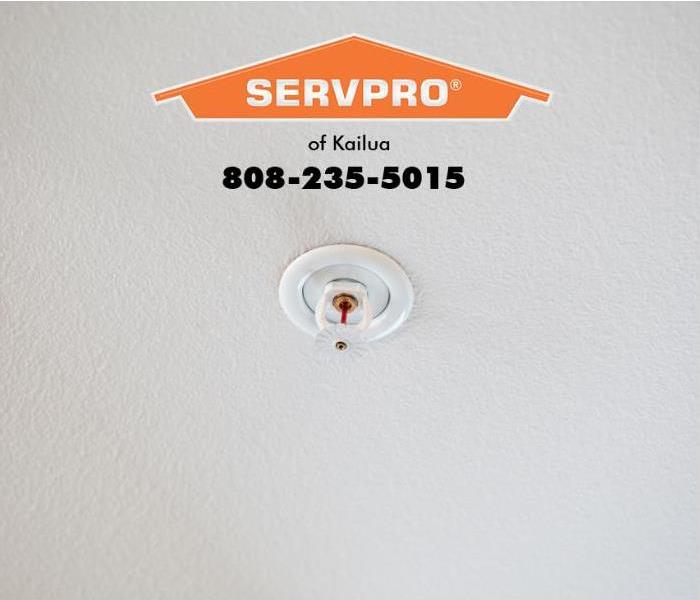 A fire sprinkler is shown mounted on a ceiling in a home. 