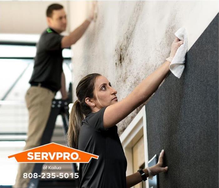 SERVPRO technicians are cleaning a wall. 
